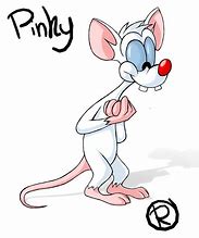 Image result for Pinky Cartoon Character