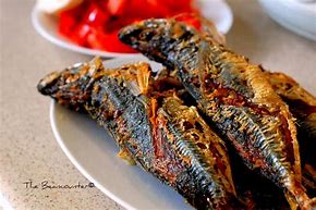 Image result for Galunggong Fish