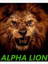 Image result for Alpha Lion Griffey