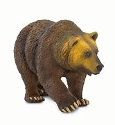 Image result for Grizzly Bear Mini