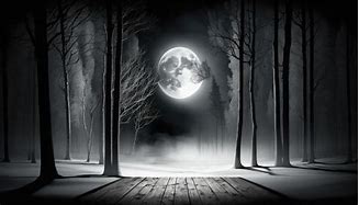 Image result for Dark Forest Night