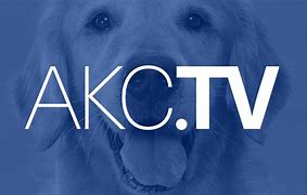 Image result for AKC TV Logo