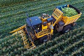 Image result for Cornplanter