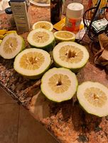 Image result for Lemon-Orange Hybrid