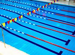 Image result for Pool Lane Buoys