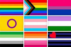 Image result for LGBT Flag GTM