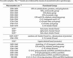 Image result for Ir Angiogram