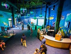 Image result for Odysea Aquarium Piranha