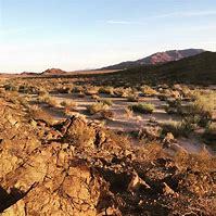 Image result for Mojave Desert Dry Farming