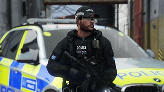 Image result for GTA Rp Police Arest