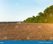 Image result for Arable Corps