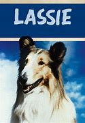 Image result for Lassie Show