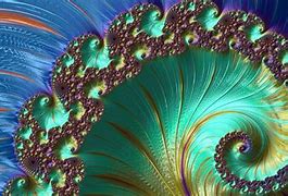 Image result for All Fractals