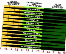 Image result for Ph Scale for Soil