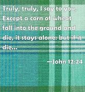 Image result for John 12 24 and Wheat