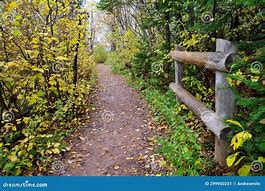 Image result for Fall Wood Path Dirt