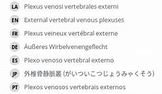 Image result for Venous Plexuses