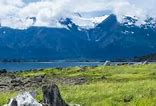 Image result for Alaska Shore Excursions