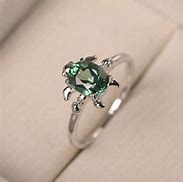 Image result for Turtle Age Ring