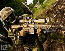 Image result for HK417 Devgru