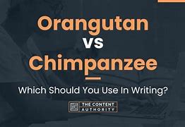 Image result for Chimpanzee vs Orangutan