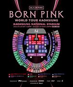 Image result for Black Pink Born Pink 2023