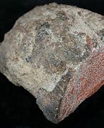 Image result for Dinosaur Bone Jasper