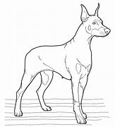 Image result for Doberman Line Drawing