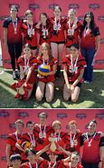 Image result for Dragons Volleyball