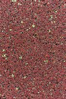 Image result for Duckweed Fruit