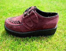 Image result for Define Creepers