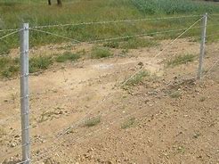 Image result for Barbed Wire Fence