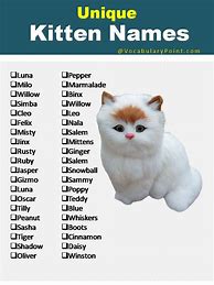 Image result for tabby cat kitten names