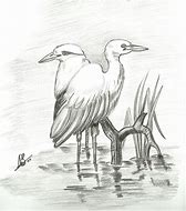 Image result for Pencil Bird Drawings Simple