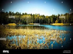 Image result for Sweden Lake Town