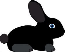 Image result for Black Bunny Rabbits