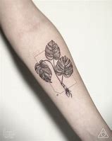 Image result for Planta Monstera Tatuaje