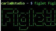 Image result for Figlet