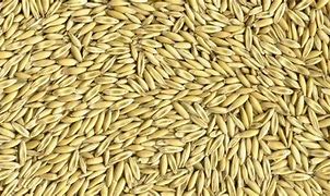 Image result for Pig Feed Oats