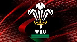 Image result for Welsh Rugby Union Logo