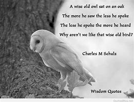 Image result for Wise Sayings Quotes