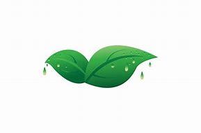 Image result for Fresh Leaves Design