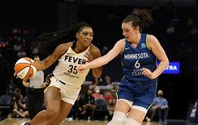 Image result for Indiana Fever Items