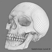 Image result for Human Skull 3D Model Wireframe Abstract