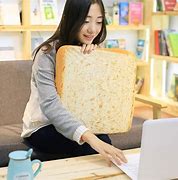 Image result for Bread Cat Bed