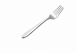 Image result for Round Main Fork