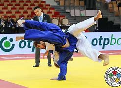 Image result for Judo Arm Slam