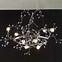 Image result for Crystal Chandelier Light