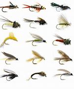 Image result for Fly Fishing Flies Sport