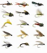 Image result for Fly Fishing Flies